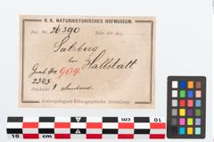 Etikett zu Bronzearmreif (NHMW-PRAE-026390)